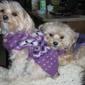 Meet your Posher, Debra